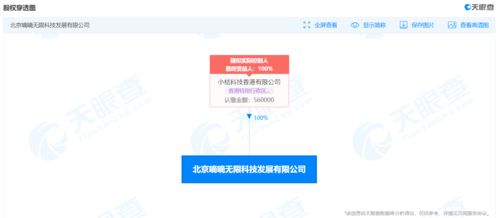 滴滴關(guān)聯(lián)公司申請 新桔 新桔代駕 商標